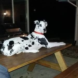 Meet your Posher, Beverly